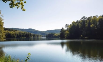 Olsztyn kiedy jechać – najlepszy czas na pogodny i spokojny wypoczynek